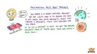 Fun with Magnets -- Fascinating Facts