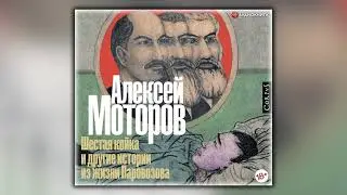 Шестая койка и другие истории из жизни Паровозова - Алексей Моторов - Аудиокнига