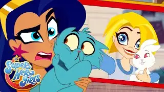 Animal Encounters! 🐾 | DC Super Hero Girls