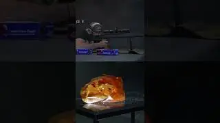 Bear Skull vs .50 cal