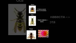 ЗА ИМПЕРАТОРА! 