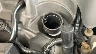 Картерные газы  4,4 TDi Range Rover L405