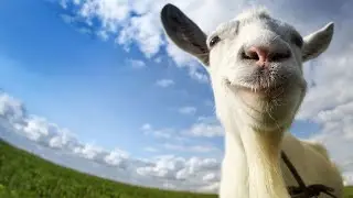 ОБЗОР СИМУЛЯТОРА КОЗЫ / Goat Simulator