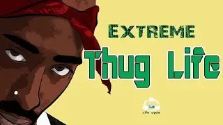 Extreme Thug Life | funny clips | 2018 | Life Cycle