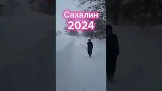 Метель на Сахалине 2024
