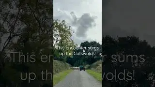 Driving in the Cotswolds | Oct 2022