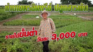 ทำเกษตรอินทรีย์ ปลูกสารพัดรายได้ขั้นต่ำวันละ 3,000 บาท #เกษตรอารมณ์ดี