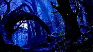 Magic Forest  Forest Psytrance Mix  Dark Forest Trip Set