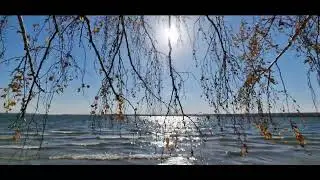 Как упорядочить память для лучшего дня