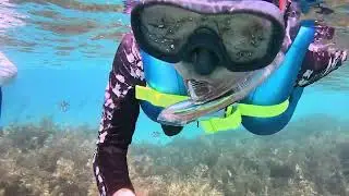 OKINAWA 大泊ビーチ 浮潛
