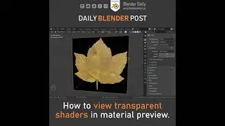 Transparent Shaders in Eevee (Blender)