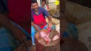 KASIMEDU SPEED SELVAM SHEELA BARRACUDA #kasimeduselvam #shorts #bigfishcutting #youtube #bigfish
