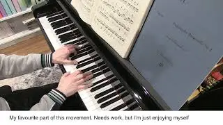 Appassionata movement2 - my favourite part