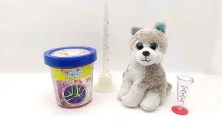 Сад из стекла эксперименты с щенком Митей