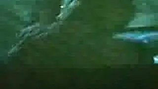 harry potter porno dub over