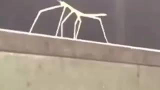 Get Stick Bugged Lol