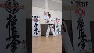 Kyokushin Karate Tensho Kata in memory of Sosai Mas Oyama
