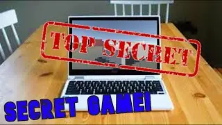 I made a game in secret!