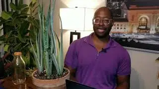 Bantel Sensation Snake Plant Review