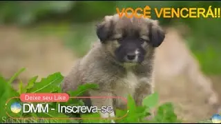 Alívio Instantâneo #mentecalma #autoestima #motivação #relaxar #ansiedadeedepressão  #músicacalma