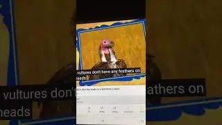 Barney Animal ABCs V is for Vulture
