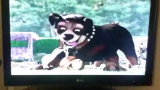 Over the Hedge