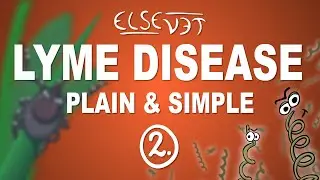 Lyme Disease - Plain and Simple (Part 2)