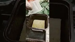 ПЕРВЫЙ ОПЫТ! ВЫРАЩИВАЮ РЕДИС НА СТОЛЕ - ЧАСТЬ 2! 