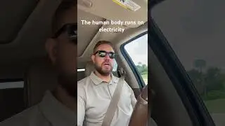 The human body runs on electricity and actually needs salt