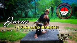 mbah walijo persinas asad tiger grips style original video