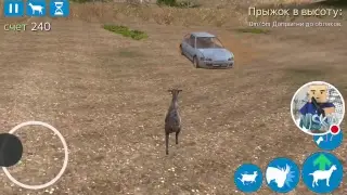 СИЖЦ ВК