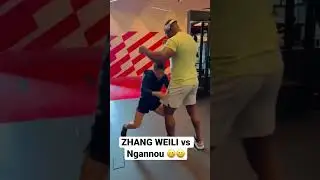 Weili 115 lb(52kg) vs Ngannou 257lb (117kg) #shorts #mma #uf