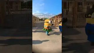 Minion like dancing at Universal Studios Japan #minions #despicableme  #japan #shorts