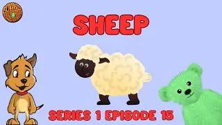 Funky the Green Teddy Bear - Sheep - Preschool Fun for Everyone! Series 1 Episode 15