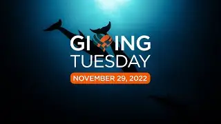 Giving Tuesday 2022