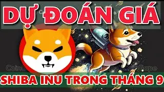 DỰ ĐOÁN GIÁ SHIBA INU TRONG THÁNG 9 | XUẤT HIỆN ĐỒNG COIN CÓ TIỀN NĂNG RẤT LỚN