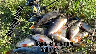 Микроджиг  Окунь на каждом забросе