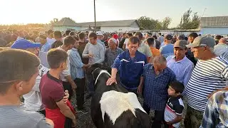 ГОВБОЗОРИ ШАХРИНАВ НАРХИ БОЗОР ИМРУЗ АРЗОН 27 июля 2023 г.