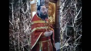 25.05.24. Мир не принимает христиан