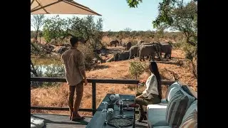 Royal Malewane Lodge