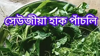আজি ৰাতিপুৱা খাদ্য হিচাপে সেউজীয়া হাক পাঁচলি অসমীয়া ভিদীয় #song #assamisong #assamesemusic #