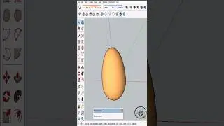 Egg model in 
