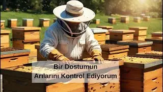 Arıcı bir dostuma sonbahar dönemi kovan tavsiyeleri