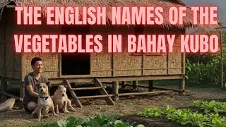Exploring the Vegetables in Bahay Kubo with Their English Names!