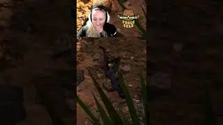 I'm sorry! I didn't mean it Mr Paracer!