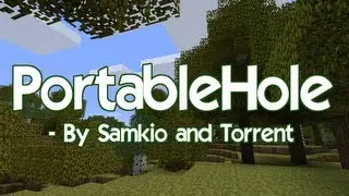 Plugin Showcase - PortableHole - WoopaGaming