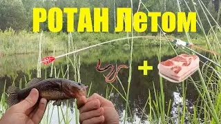 Catching Amur sleeper on Forest Lake in summer. Side nod fishing.