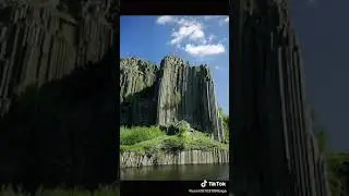 шутки  природы 💚