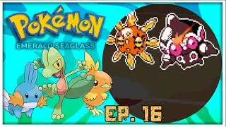 Double Battles galore! Pokemon Emerald Seaglass