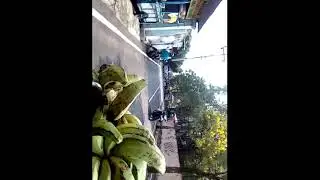 pasar mojokerto   @slendrinaufo  @spiritcemeterytv  @bobotrend
